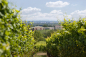 Preview: Rubino trocken 2020, Pfalz